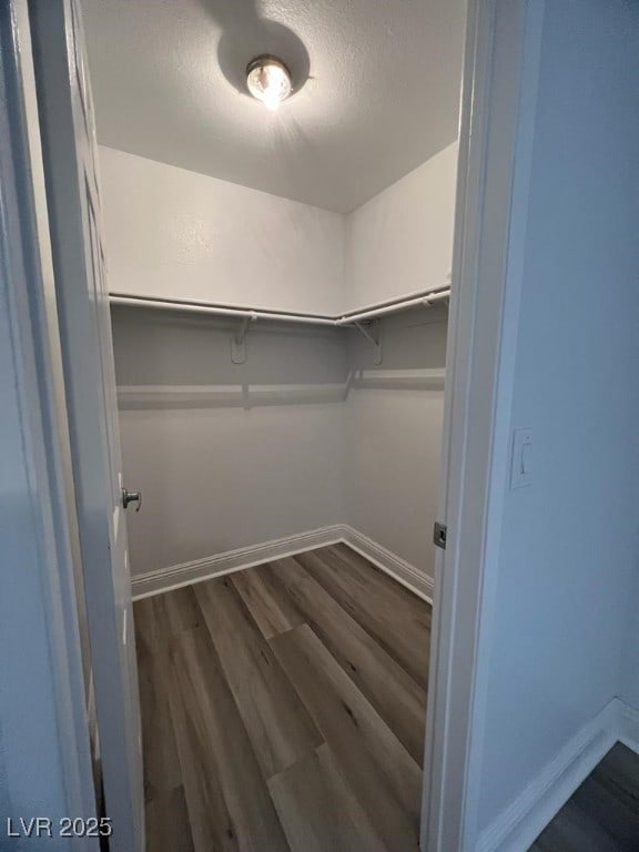 spacious closet featuring dark hardwood / wood-style floors