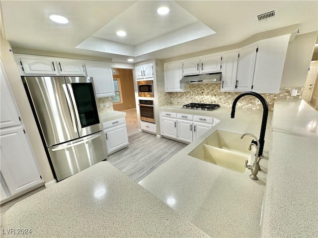 kitchen featuring decorative backsplash, appliances with stainless steel finishes, a tray ceiling, sink, and white cabinetry