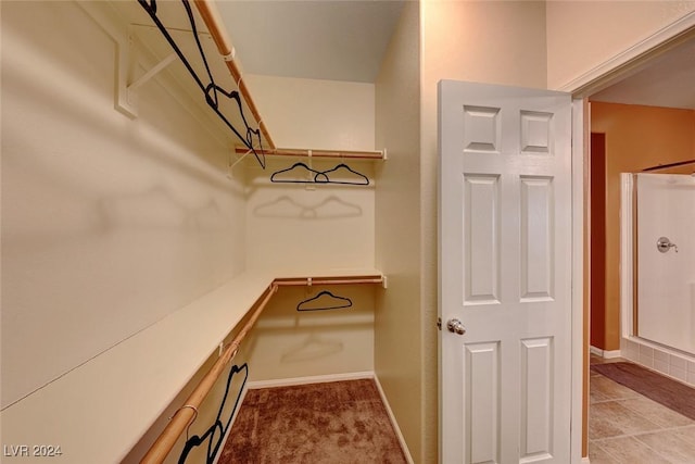 spacious closet featuring light carpet