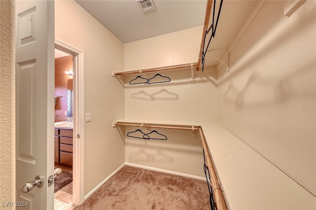 spacious closet with carpet floors