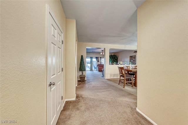 hall featuring carpet flooring