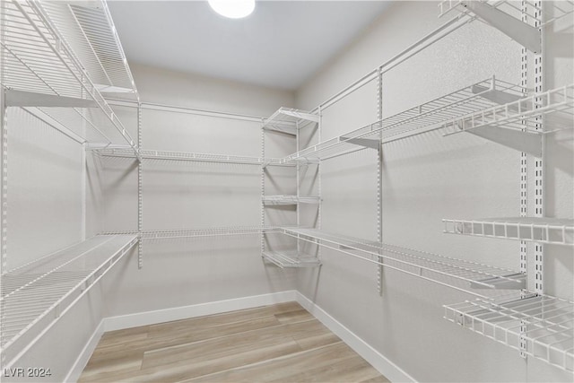 spacious closet featuring wood-type flooring