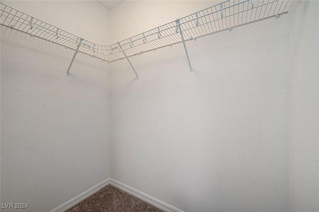 spacious closet with carpet