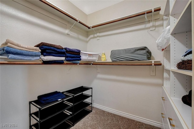 spacious closet with carpet floors