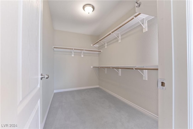 spacious closet with light colored carpet