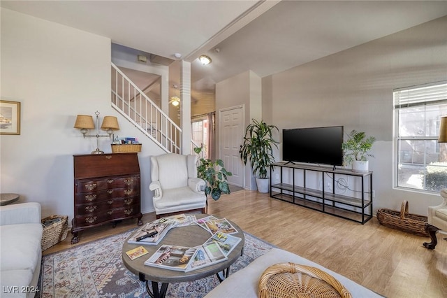 living room featuring hardwood / wood-style floors