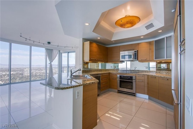 kitchen featuring sink, stainless steel appliances, dark stone counters, and a tray ceiling