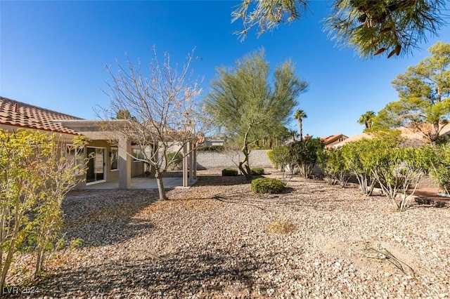 view of yard featuring a patio area