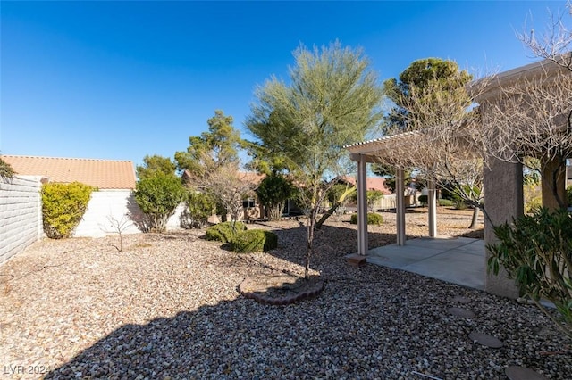 view of yard with a patio area