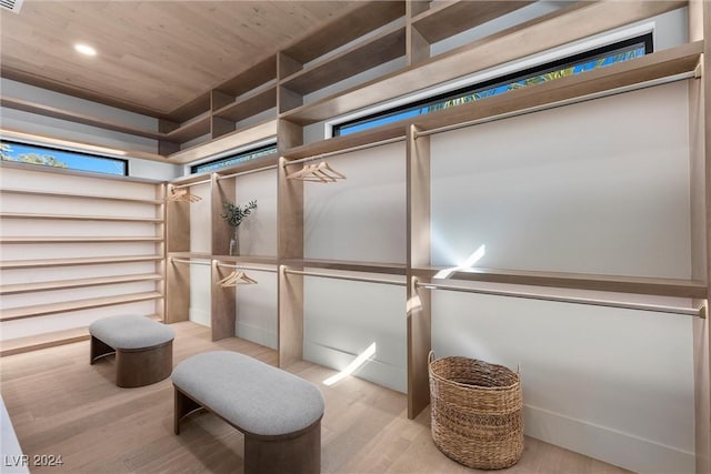 spacious closet featuring light wood-style flooring