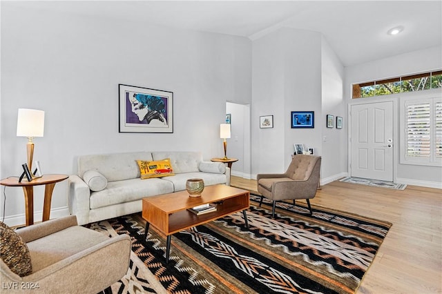 living room featuring a towering ceiling and hardwood / wood-style flooring