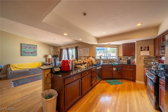 kitchen featuring tasteful backsplash, kitchen peninsula, light hardwood / wood-style floors, and appliances with stainless steel finishes