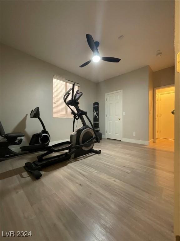 workout area featuring light hardwood / wood-style flooring and ceiling fan