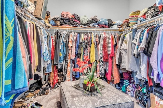 walk in closet featuring carpet