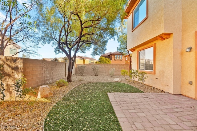 view of yard featuring a patio