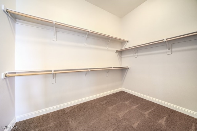 walk in closet with carpet