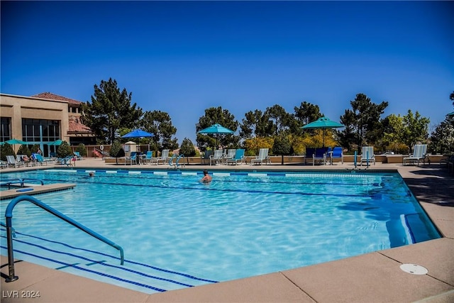 view of pool featuring a patio