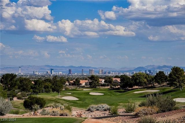 view of home's community featuring a mountain view and a yard