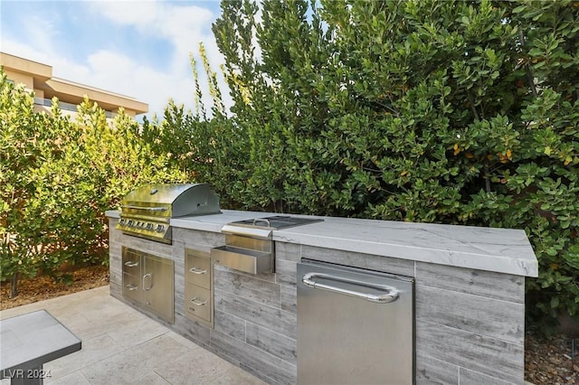 view of patio / terrace with area for grilling and exterior kitchen