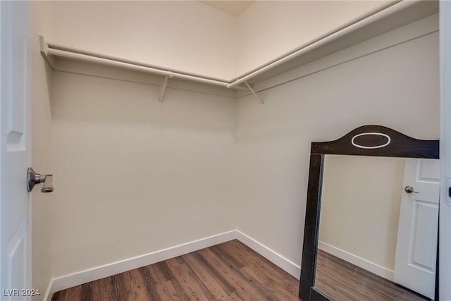 walk in closet featuring dark hardwood / wood-style floors