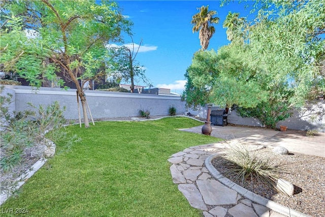 view of yard featuring a patio area