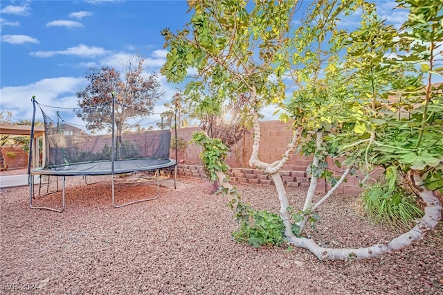 view of yard with a trampoline