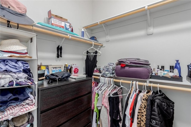 view of spacious closet