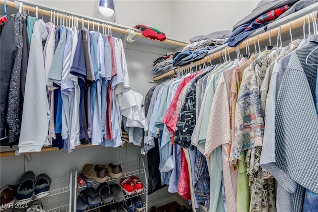 view of spacious closet