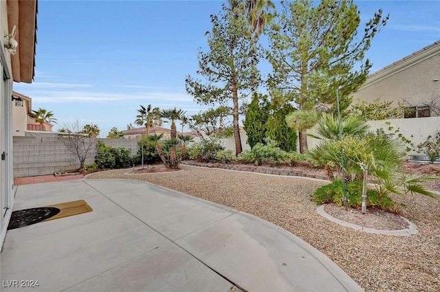 view of yard with a patio area