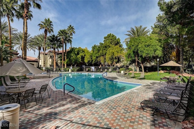 view of pool featuring a patio