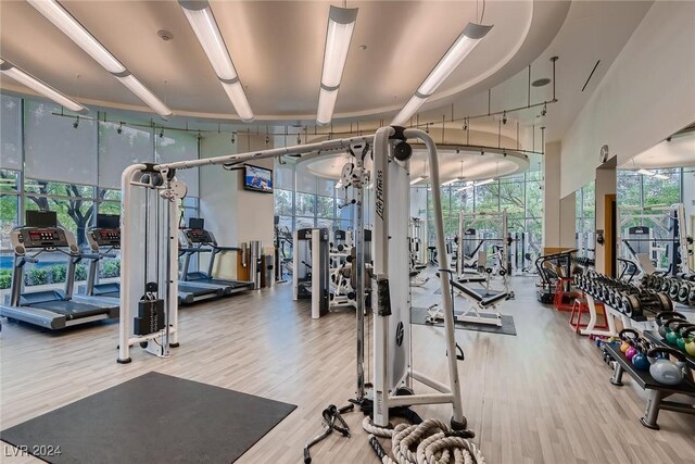 gym with hardwood / wood-style flooring and expansive windows