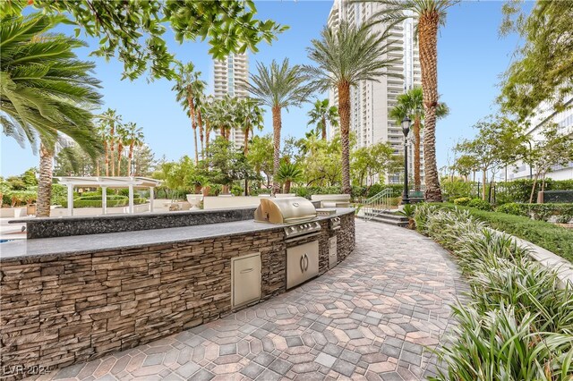 view of patio / terrace with an outdoor kitchen and grilling area