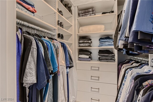 view of spacious closet