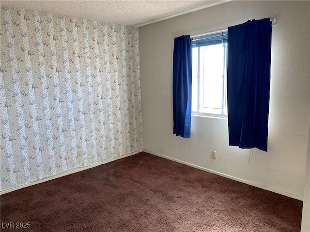 empty room with carpet flooring and a textured ceiling