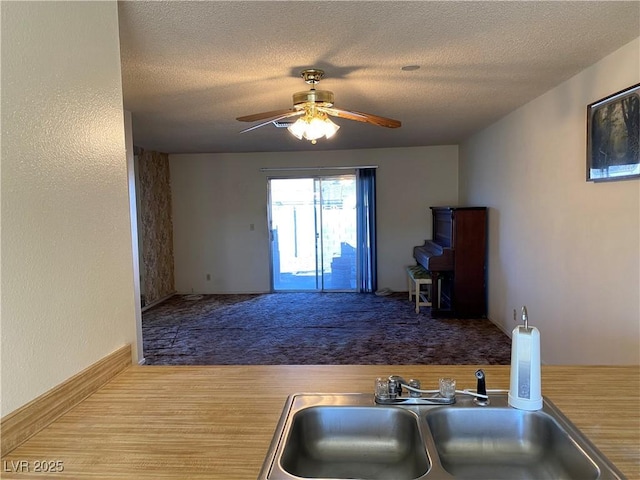 kitchen with ceiling fan, wood-type flooring, sink, and a textured ceiling