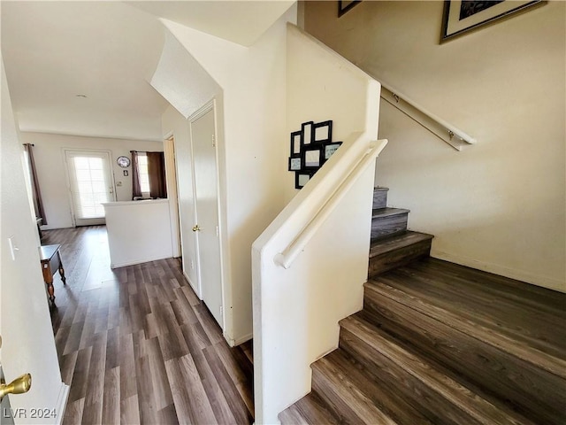 staircase with wood finished floors