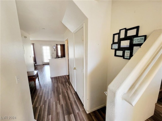 hall featuring dark wood finished floors