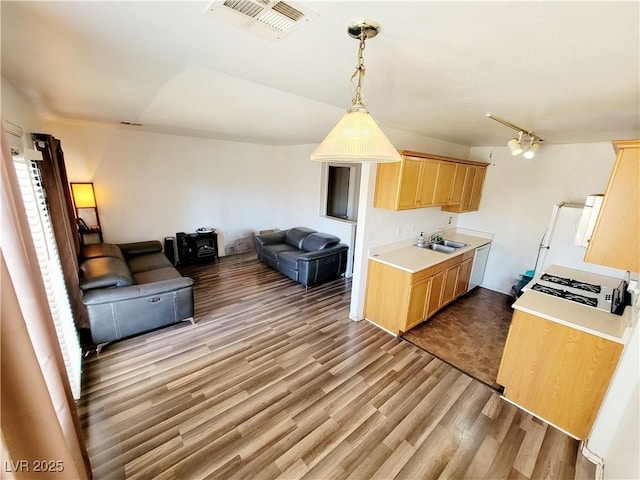 kitchen featuring visible vents, open floor plan, wood finished floors, light brown cabinets, and a sink