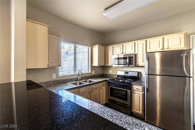 kitchen with appliances with stainless steel finishes and sink