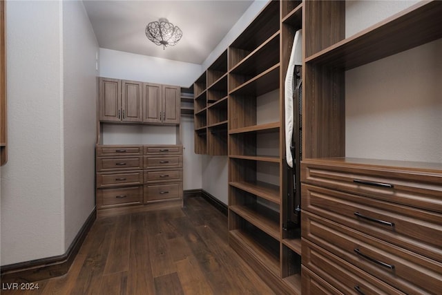 spacious closet featuring dark hardwood / wood-style flooring