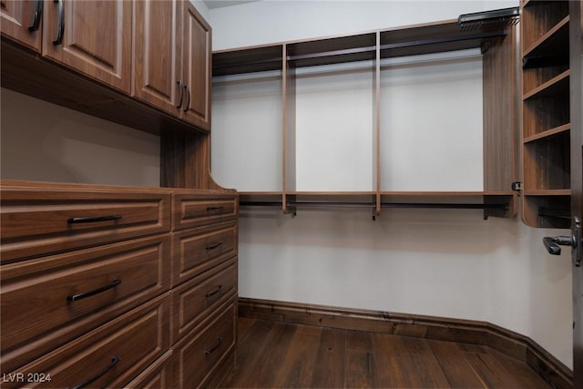 spacious closet featuring dark hardwood / wood-style flooring