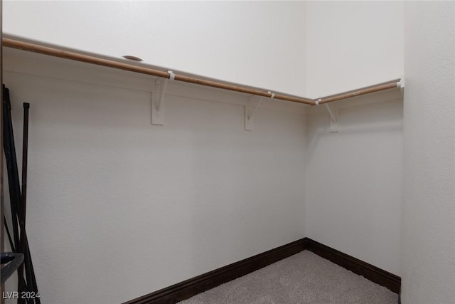 walk in closet featuring carpet flooring