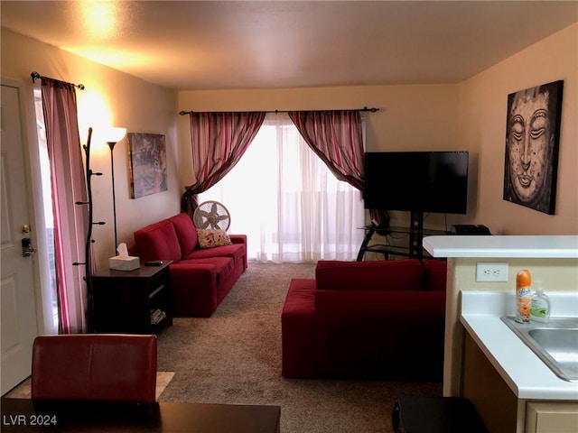 living room with carpet flooring and sink