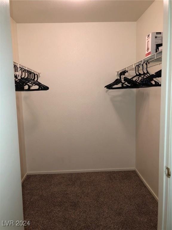 walk in closet with dark carpet