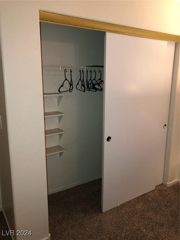 view of closet