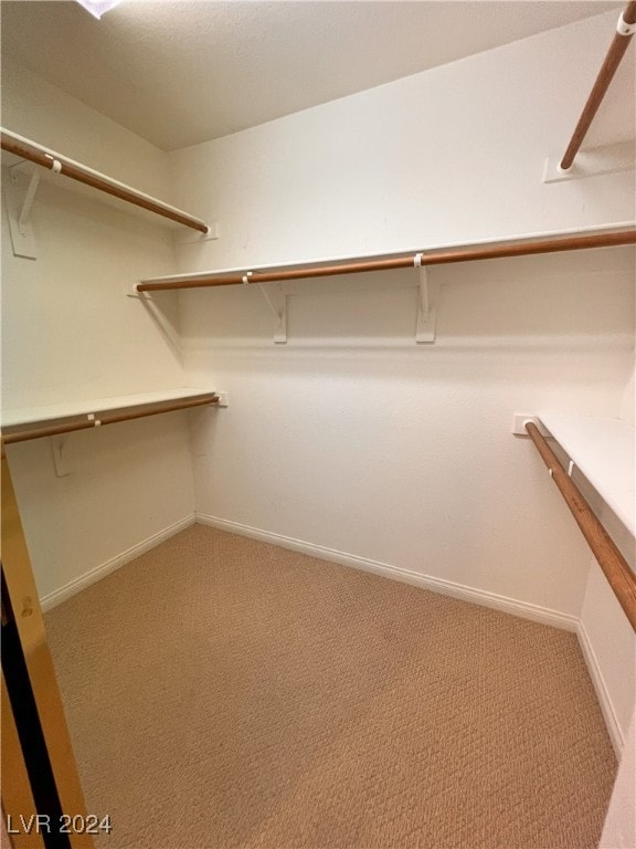 walk in closet with carpet flooring