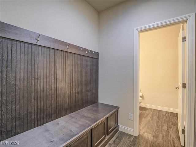 mudroom with dark wood-type flooring