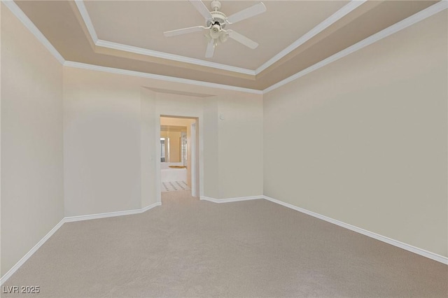 unfurnished room featuring crown molding, a raised ceiling, ceiling fan, and carpet flooring