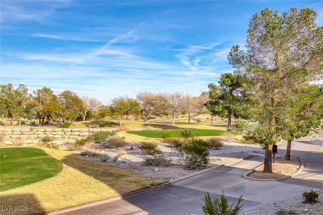 view of home's community with a lawn