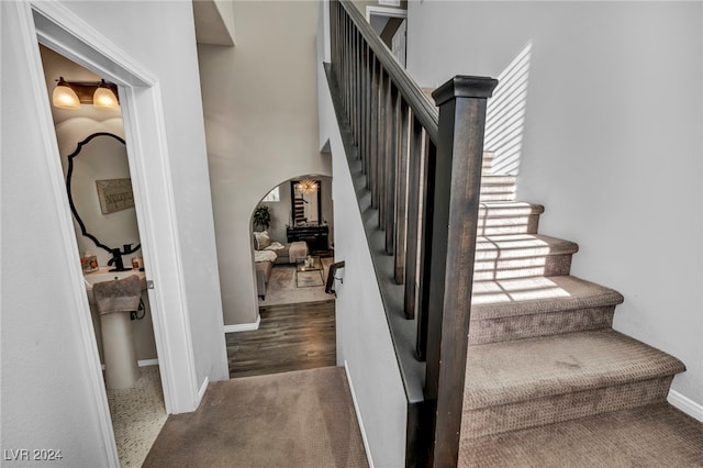 stairs featuring carpet floors